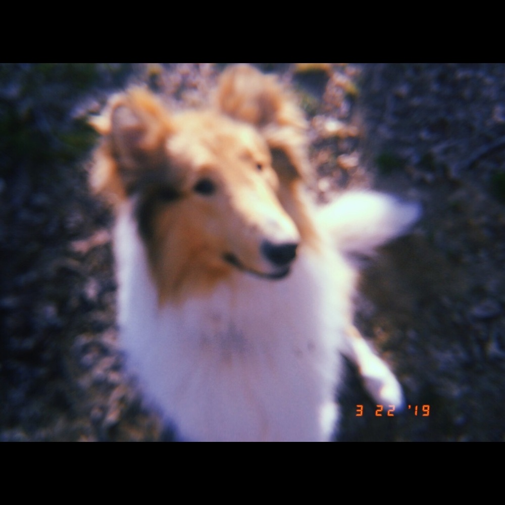 Meet your Posher, Mia